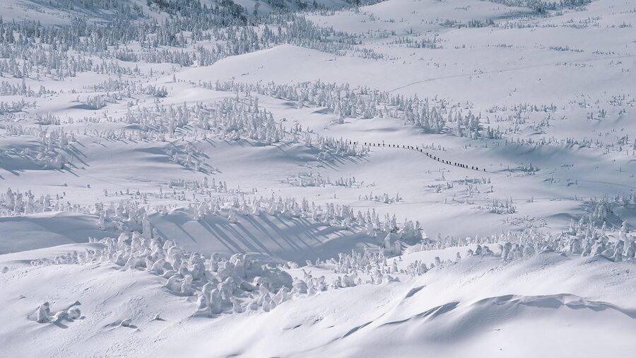 A snow-covered Hakkoda mountain ridge with rime-ice trees