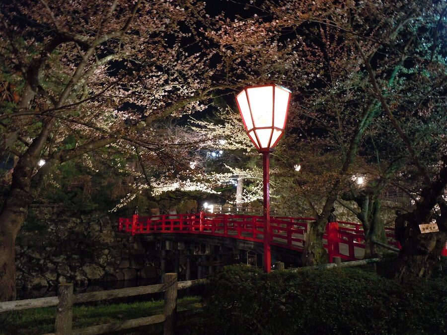 Hirosaki Park during the cherry blossom festival with the keep visible