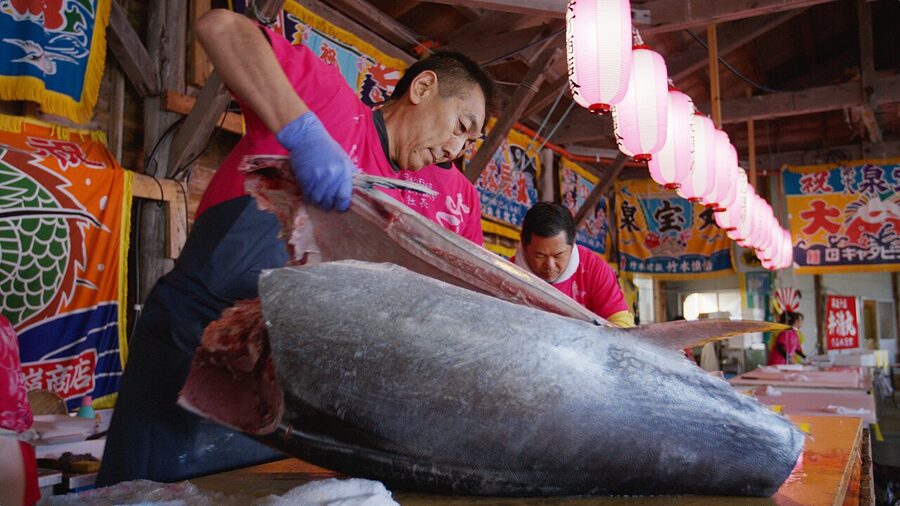 A large bluefin tuna at Oma fishing port in Aomori