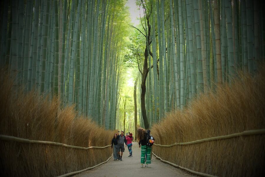 Arashiyama Bamboo Grove path crowded with daytime visitors in Kyoto Japan