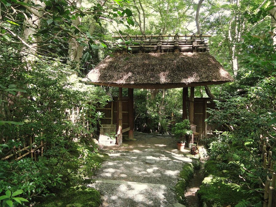 Gioji moss garden close-up green carpet Arashiyama Kyoto
