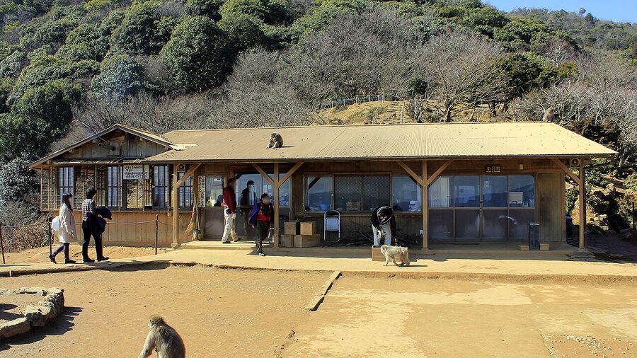 Iwatayama Monkey Park view down to central Kyoto from summit Arashiyama