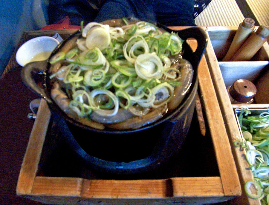 Dojo nabe loach hot pot in a flat iron dish, Tokyo