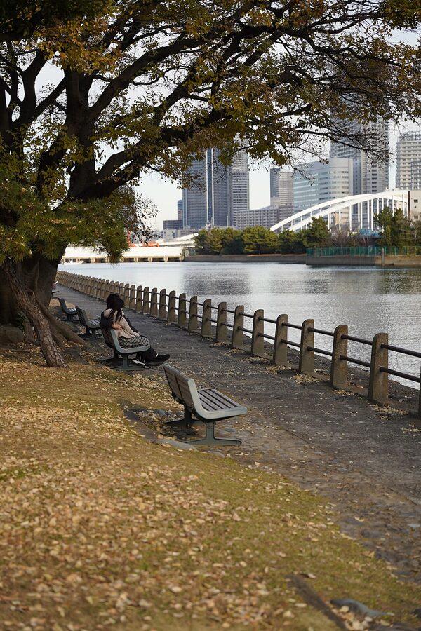 Sumida River viewed from Hamarikyu Gardens in winter, Tokyo