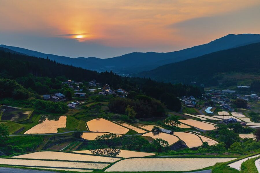 Aerial view of terraced rice fields at sunset in Ena, Gifu