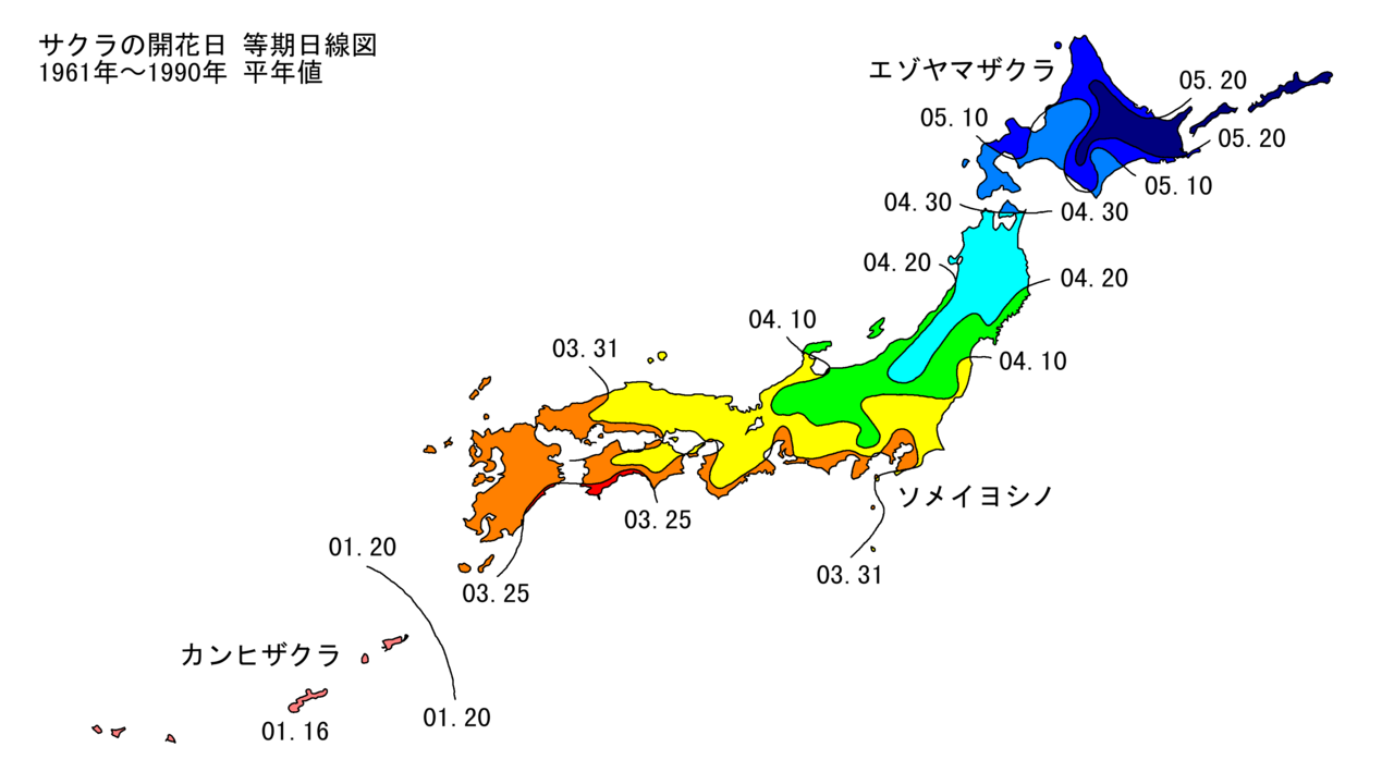 Sakura front line map showing predicted bloom progression across Japan