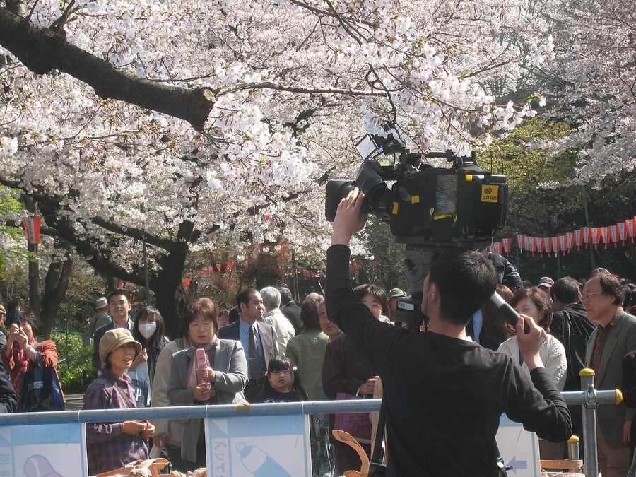 Crowd of people picnicking on blue tarps under cherry trees at Ueno Park