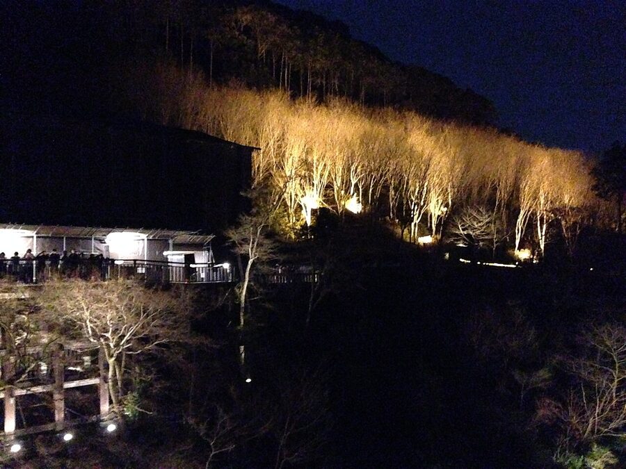 Kiyomizu-dera Temple illuminated at night during cherry blossom season