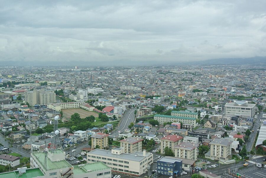View from Goryokaku Tower observation deck looking down at the star-shaped park