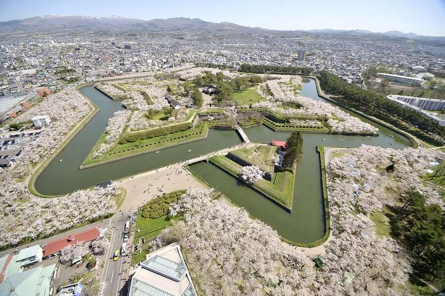 Cherry blossoms blooming at Goryokaku fort Hakodate