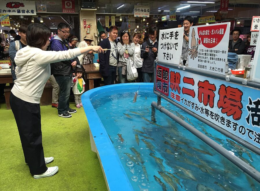 Live squid fishing tank Hakodate morning market