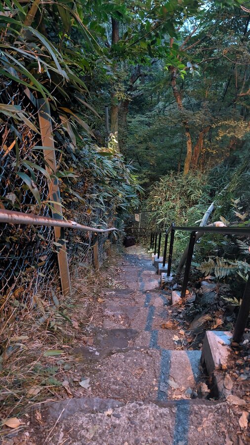 Quiet residential walking path in Gora