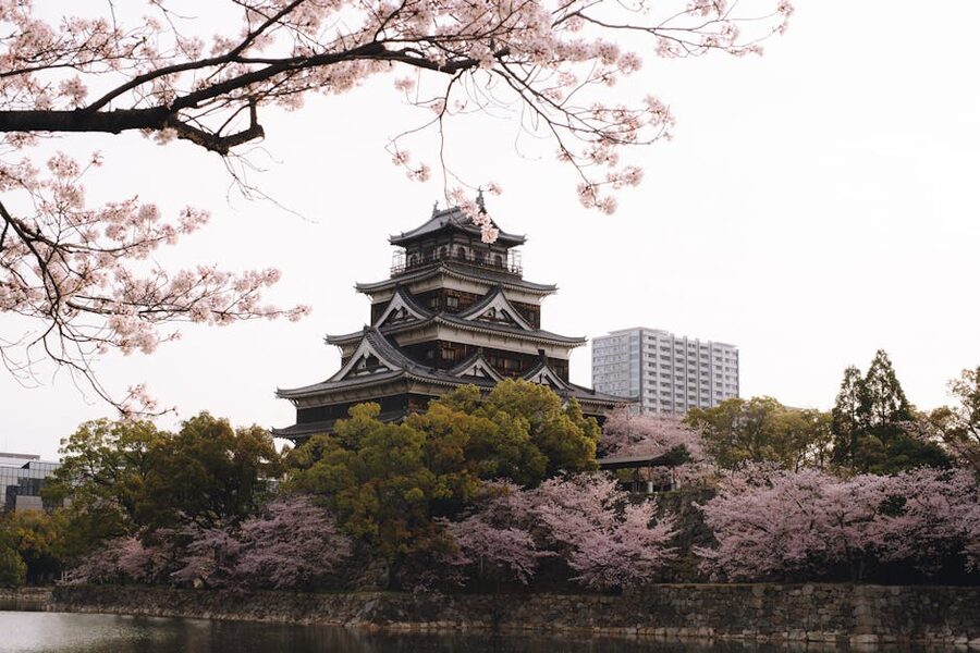 Hiroshima Castle with cherry blossoms in spring