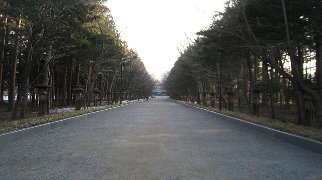Cherry blossom along the approach path to Hokkaido Shrine, Sapporo