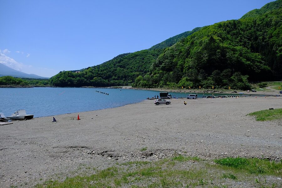 Mt. Fuji rising above Lake Shoji from the north shore