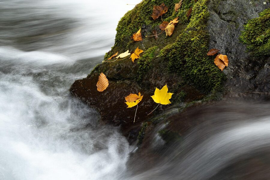autumn stream mossy rocks for autumn travel guide