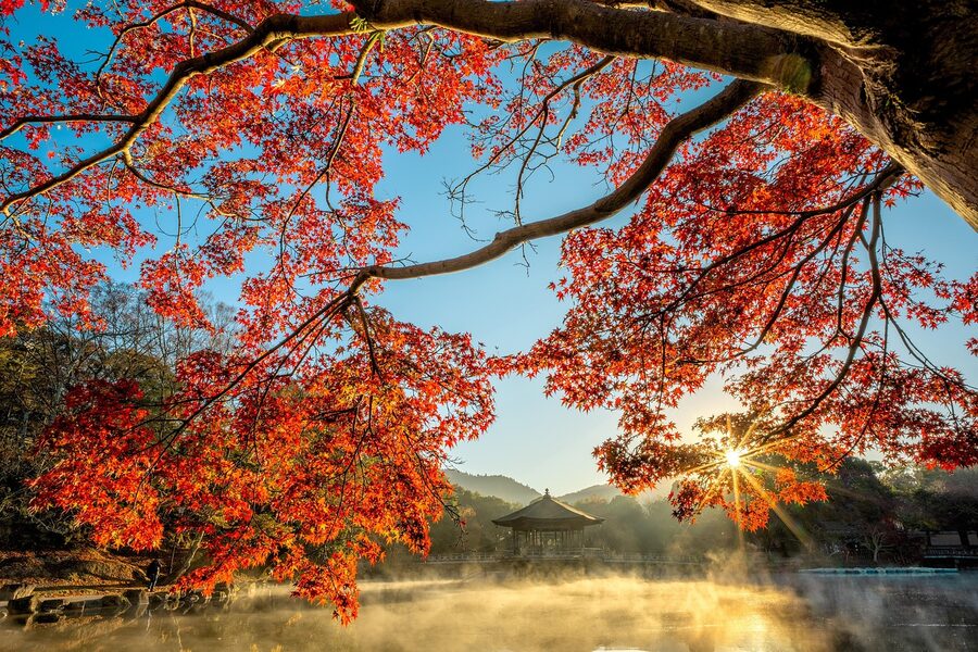 fuji five lakes pond mist for autumn travel guide