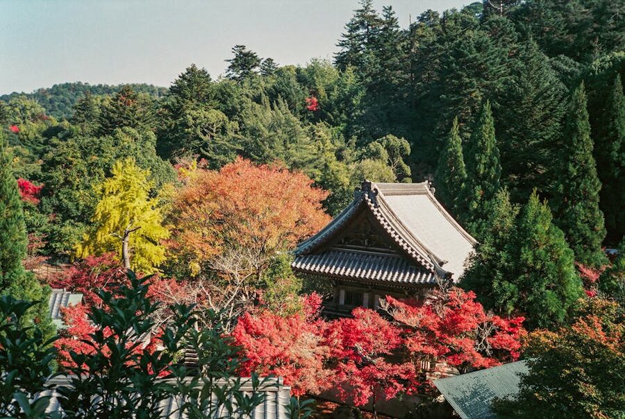 japanese garden house autumn for autumn travel guide