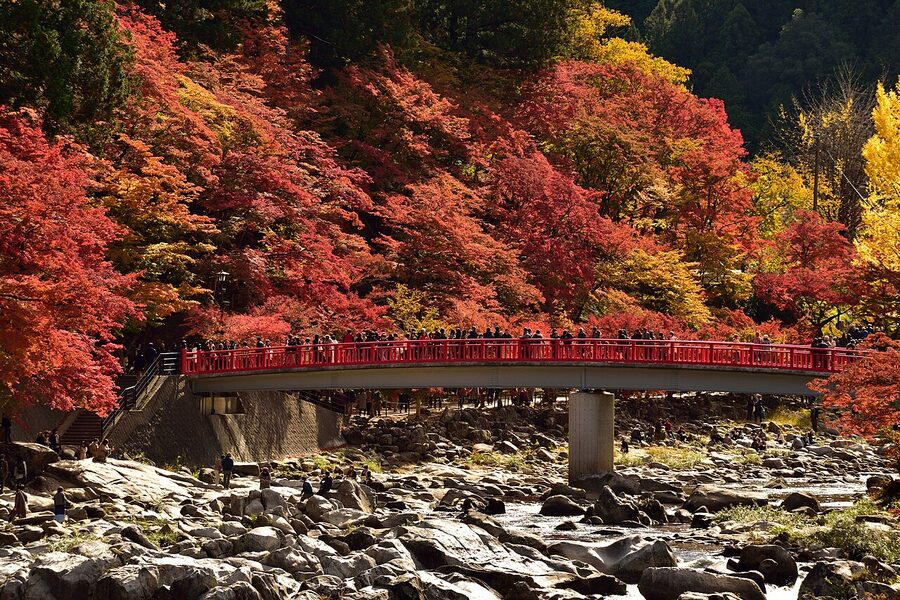 korankei aichi day for autumn travel guide