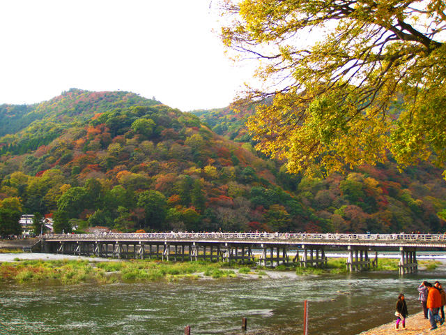 kyoto arashiyama togetsukyo for autumn travel guide