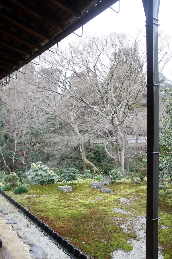 kyoto tofukuji tsutenkyo for autumn travel guide