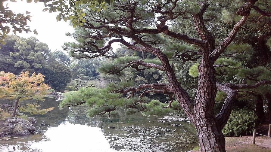 shikoku ritsurin park for autumn travel guide
