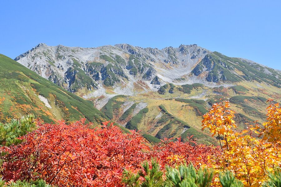 tateyama murodo autumn for autumn travel guide