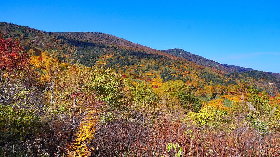 tohoku hachimantai autumn for autumn travel guide