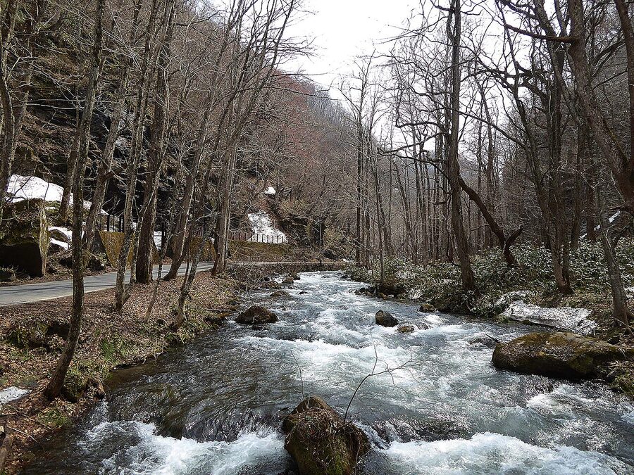 tohoku oirase stream for autumn travel guide