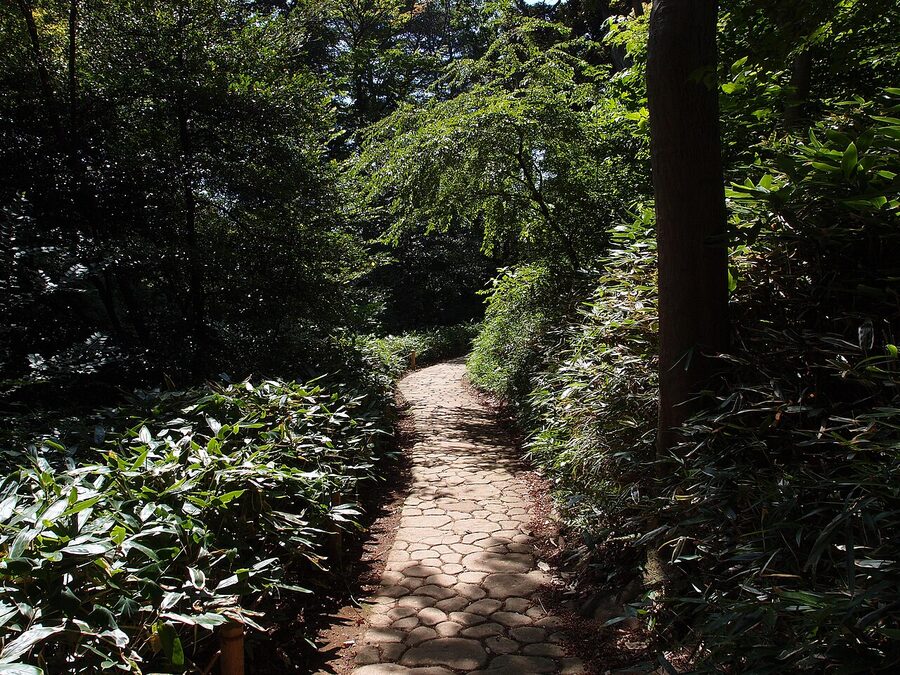 tokyo rikugien pond for autumn travel guide