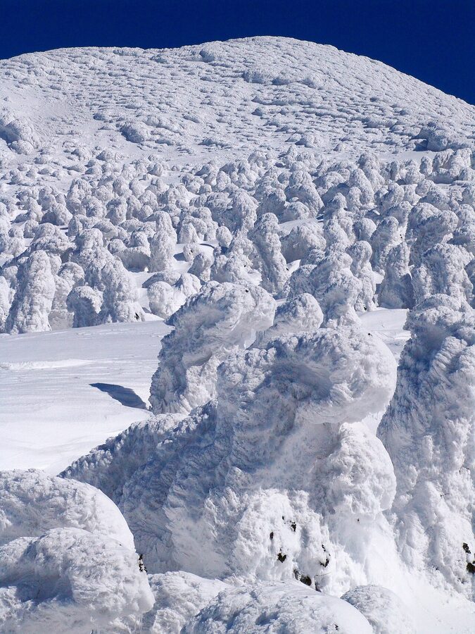 Rime trees on the Hakkoda mountains in Aomori, with skiers walking past