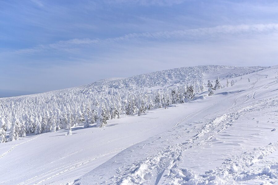 The Mt. Zao caldera in winter, with rime-coated trees on the windward slope