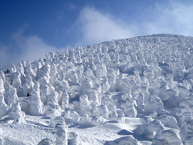 Frozen rime trees, known as juhyo or snow monsters, on the slopes of Mt. Zao in mid-February
