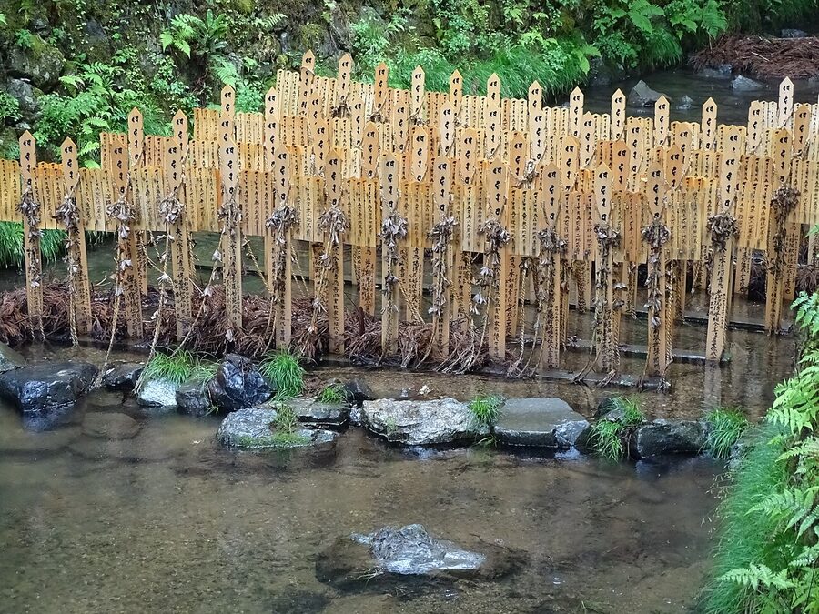 The Choishi-michi path through Okunoin cemetery on Koyasan, mossy stone lanterns and cedar trunks.