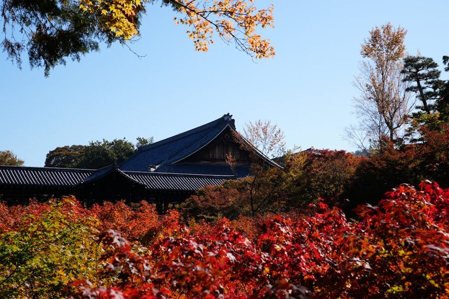 Autumn maple foliage at Tofukuji temple in Kyoto
