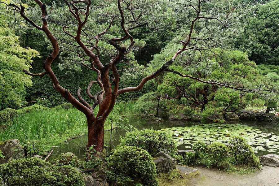 The pond garden behind Heian Shrine, with stepping stones across still water and reflections of vermilion shrine buildings