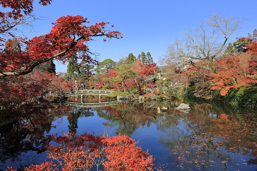 Eikando Zenrinji autumn maples Kyoto