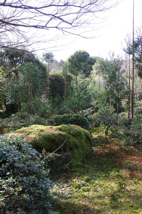 Ryoan-ji moss and stone garden