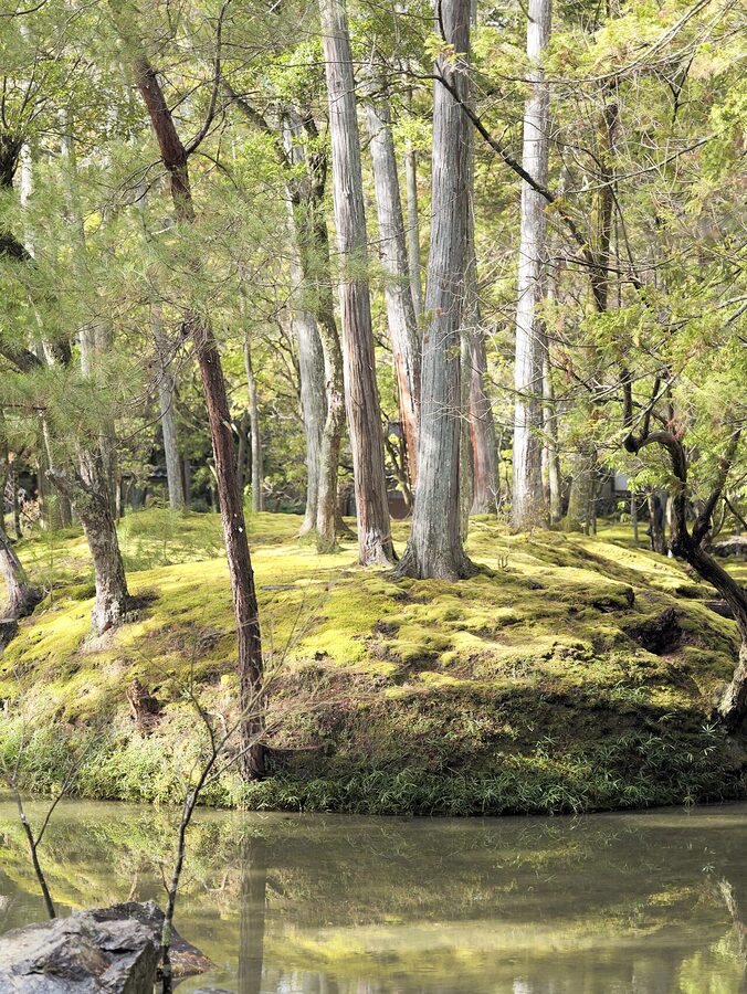 Saihoji moss pond Kyoto