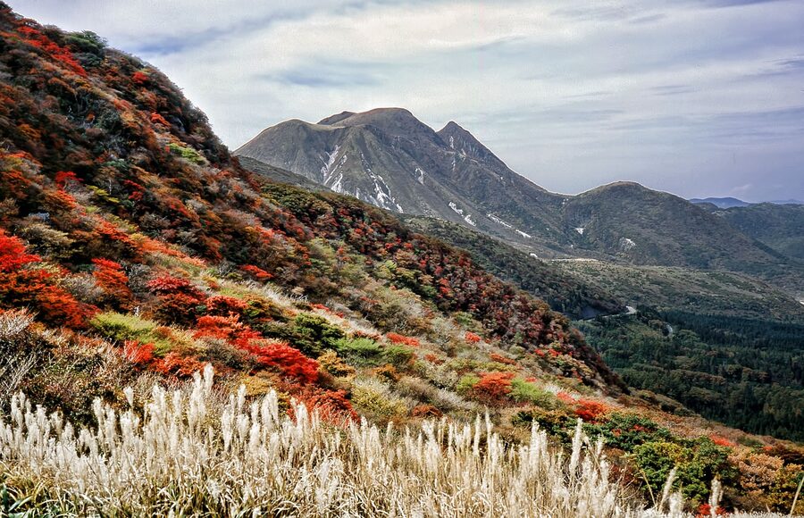 Autumn foliage on the slopes of Mt Aso, Kumamoto prefecture