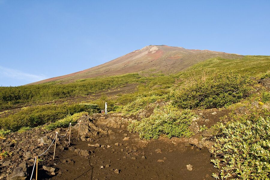 View from the Subashiri Trail with green forest in the foreground and the Mt Fuji slope rising behind
