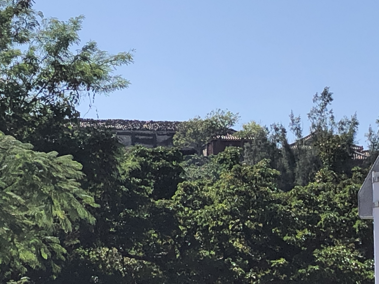 Charred roof timbers after the Shuri Castle fire of October 2019