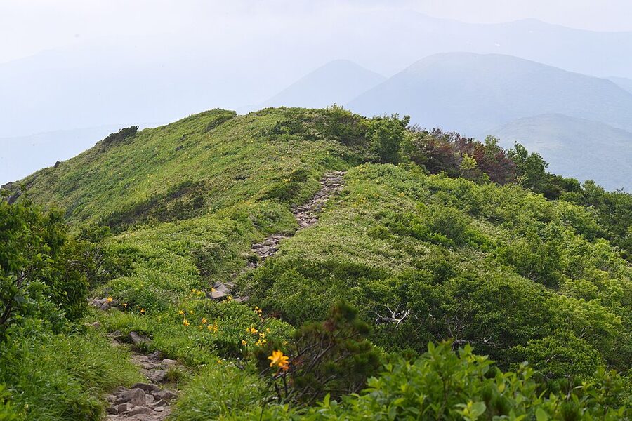 Mount Niseko-Annupuri summer hiking trail