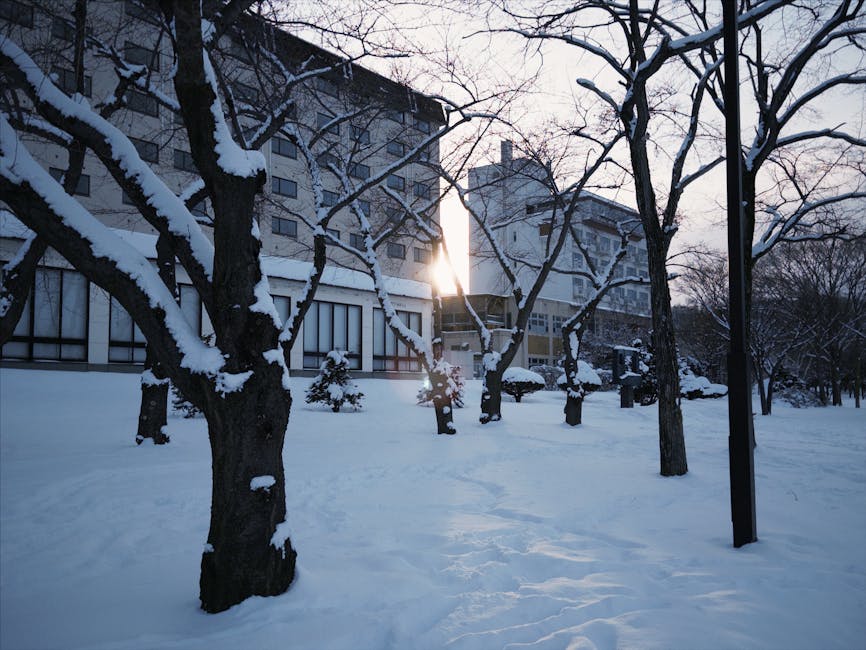 Niseko ski resort area at winter sunrise