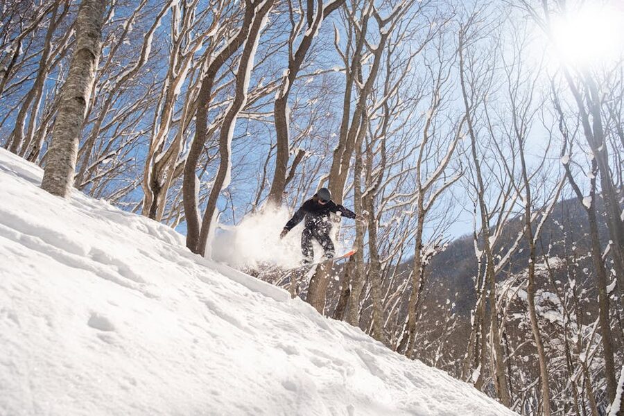 Snowboarder in Niseko backcountry forest