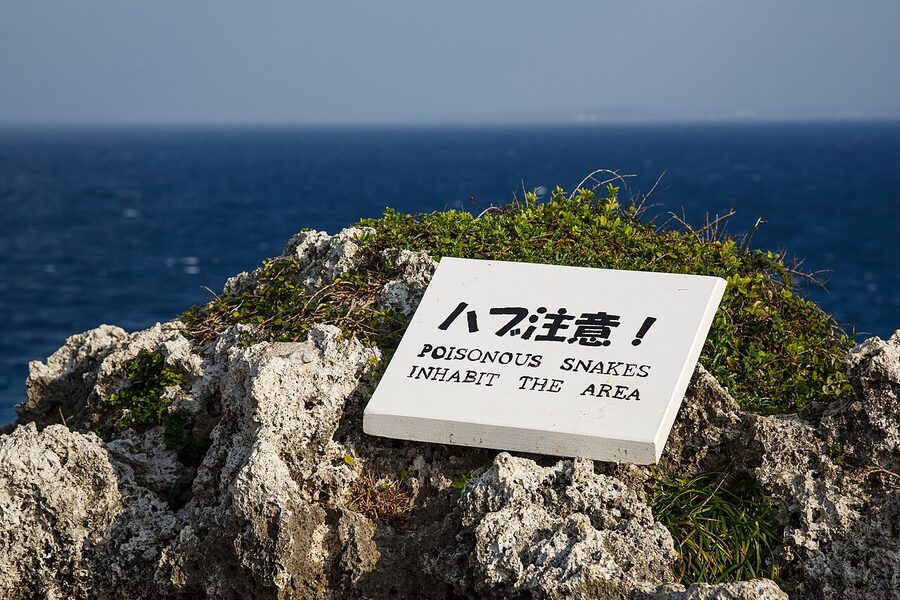 Cape Manzamo viewing platform Onna