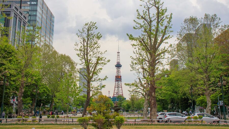 Sapporo TV Tower in Odori Park, view down the green axis