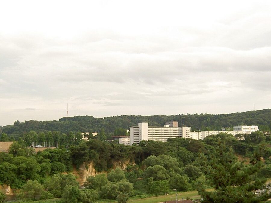 View from Aoba Castle ruins on Aobayama Hill with the city of Sendai spread below