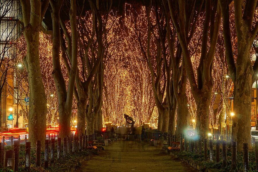 Jozenji-dori avenue lit up at night with thousands of warm-white LED bulbs strung through bare zelkova branches