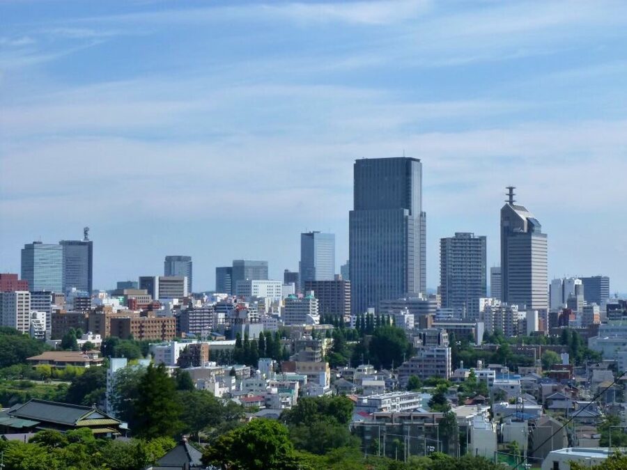 Sendai city skyline seen from Mukaiyama with the Hirose River and the Pacific in the distance